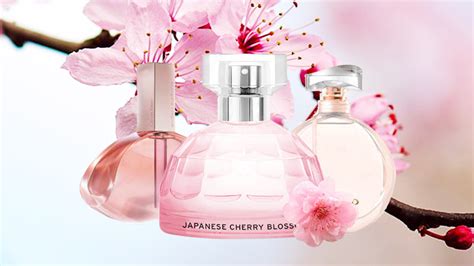 perfume like cherry blossom